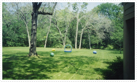 Beck: Easter Egg Hunt Texas Size Beck: Easter Egg Hunt Texas Size